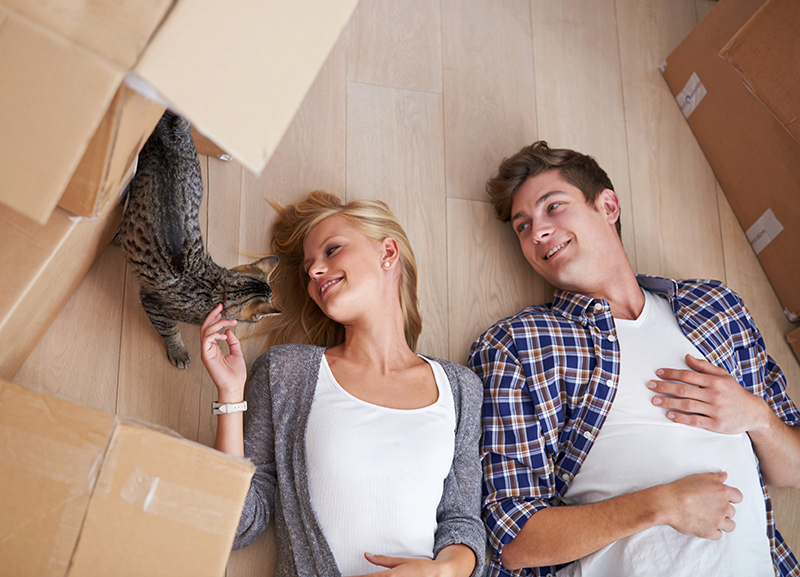 man and woman laying on petting tabby cat surrounded by moving boxes