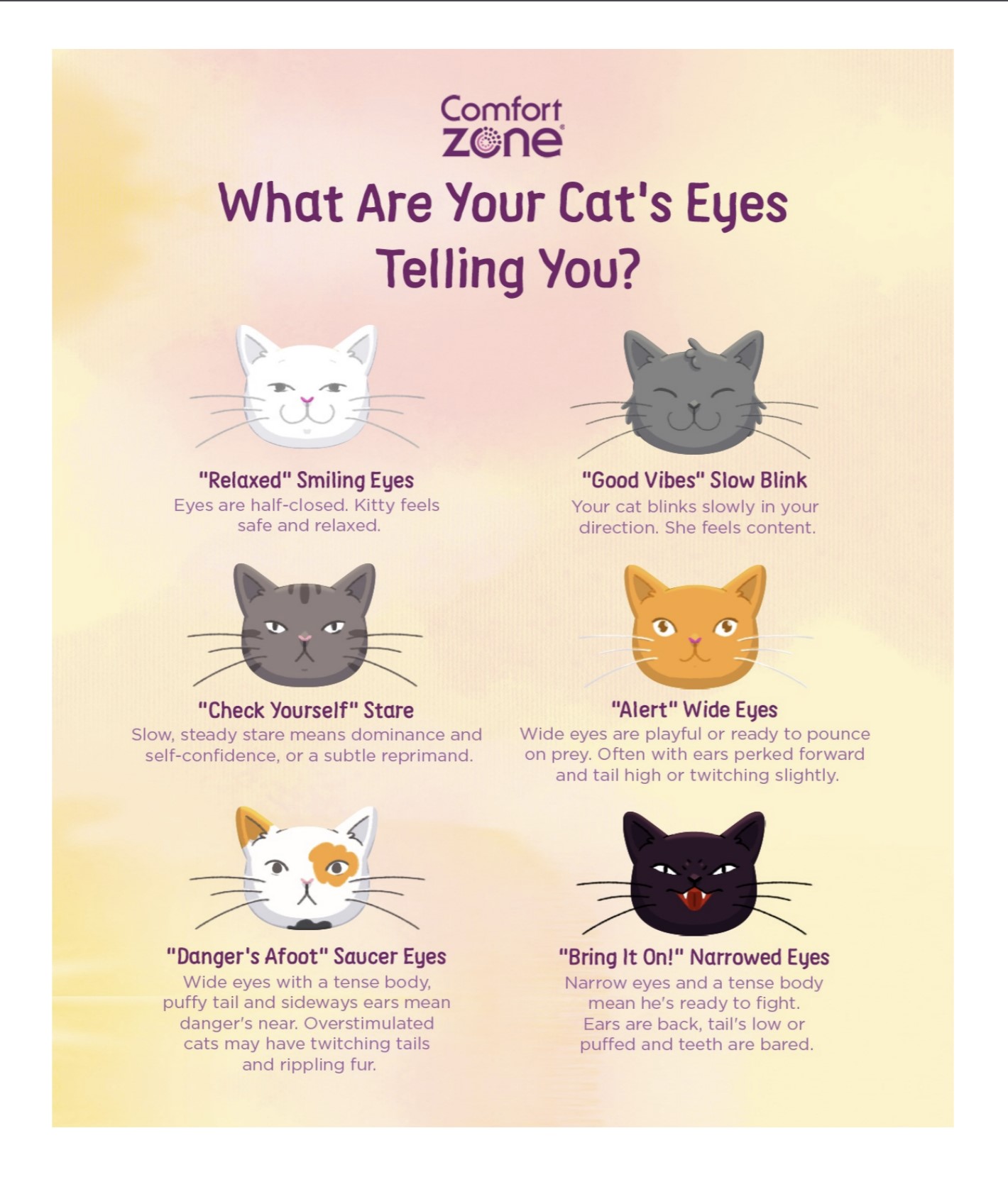 Learn the meaning behind your cat