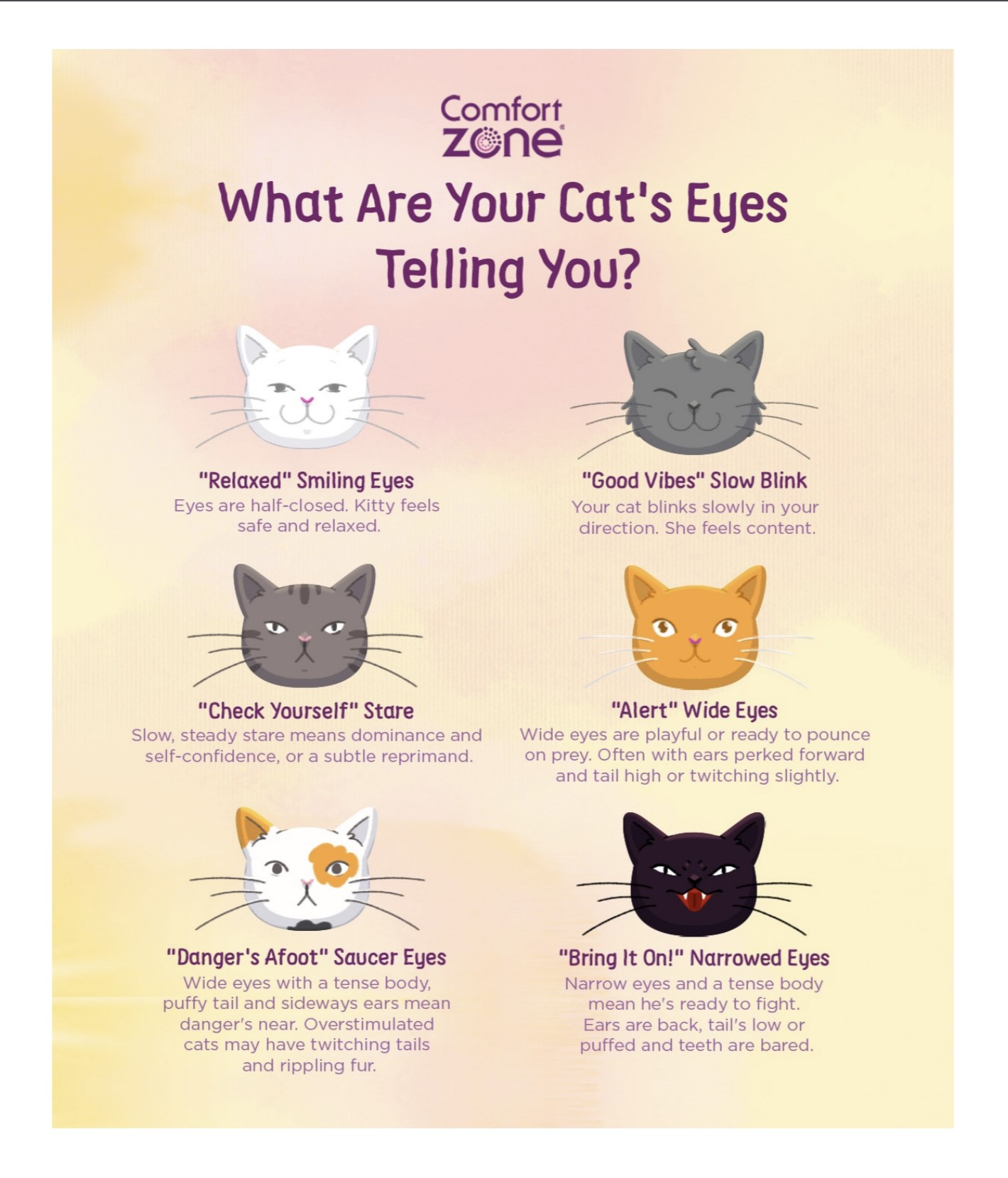 10 Cat Noises and Strange Sounds & What They Mean?