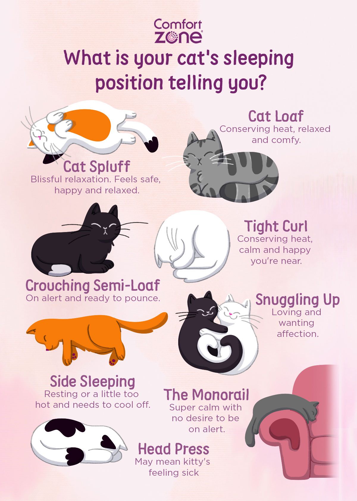 The Secret Meaning Behind Cat Sleeping Positions