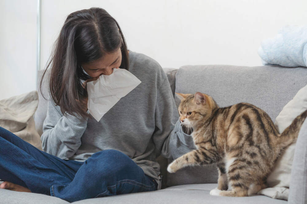 how do i know if my dog is allergic to my cat