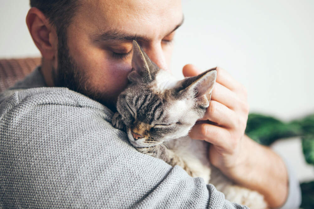 cat feeling love toward man