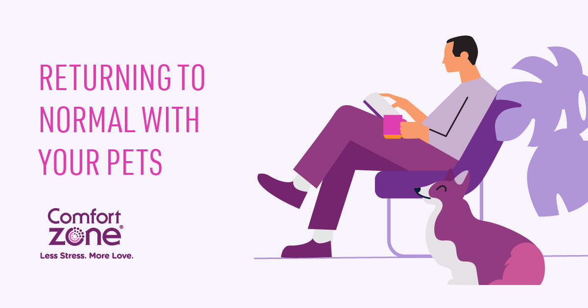 Stress may affect your pets when you're returning to work after being at home for an extended period of time.