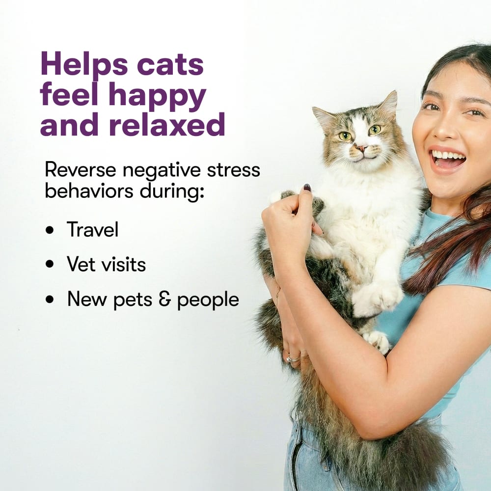 Text shows Comfort Zone Cat Calming Mousse for travel, veterinary visits, meeting new pets or people
